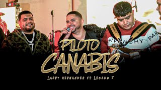 Piloto Cannabis (En Vivo) Lyrics English Translation