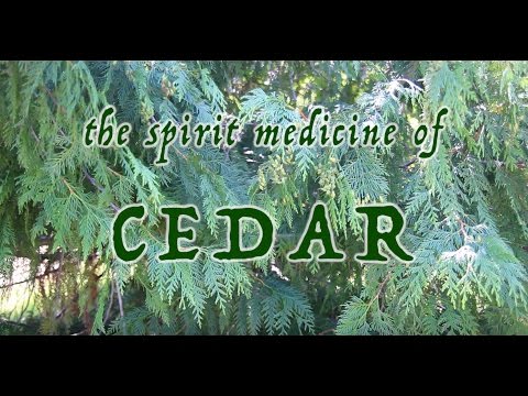 image-What is flat cedar?