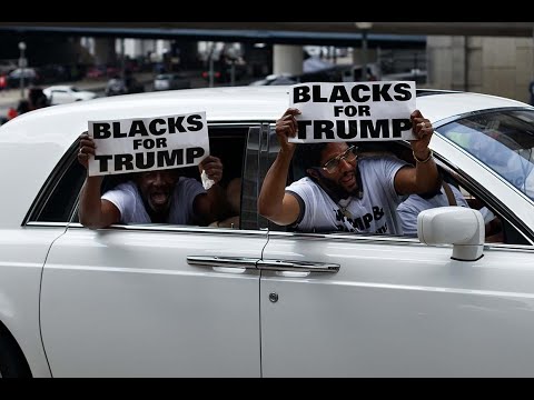 Look at the Coons - Video