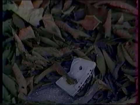 Night Station "Loving Nights"