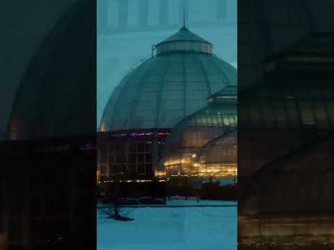 Belle Isle's Forgotten Past