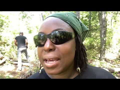Land Clearing by Hand | New 20 Acre Homestead Location | Part 2