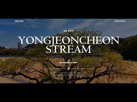 [온통청송] 청송 용전천