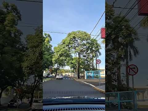 Driving in Presidente Prudente São Paulo #brazil #cidade #travel #cidadesdobrasil #city #worldcities