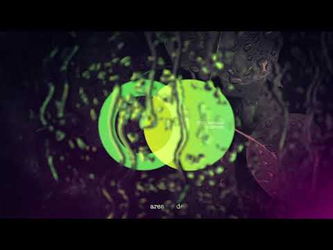 Sebastian Haas - Crawler  [AREA VERDE] // Progressive House Premiere