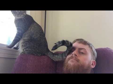 Cat Slaps Tail Across Owner's Face