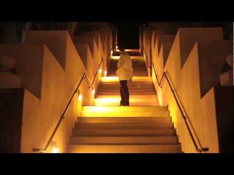 "You've Had Your Six" - Blue Suns