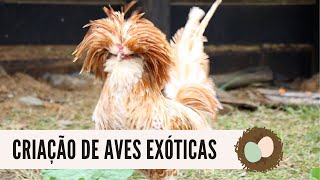 Miniatura do vídeo