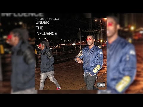 Terry Bling & Princyboii - The Plan (Audio) #LGM
