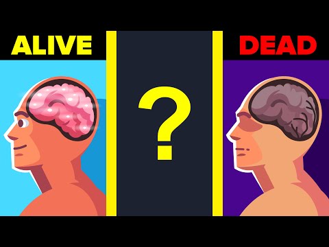 This is What Happens to Your Brain as You Are About to Die