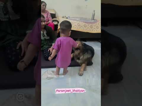 play with My dog 🤣🤣🤣#funny #jaat #paramjeet