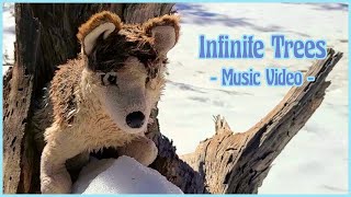 Infinite Trees Music Video ✤ McKenna Powell ✤