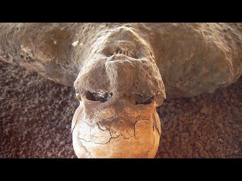 The Grim Truth About The Bodies Of Pompeii