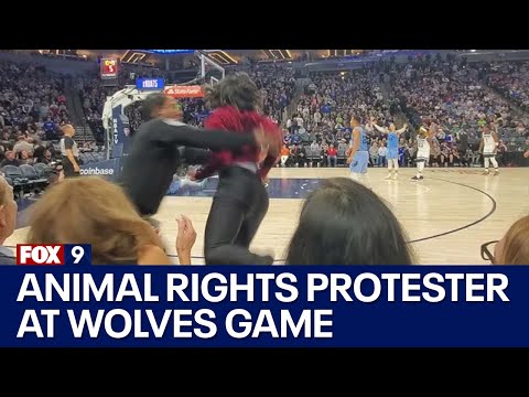 , title : 'Video of animal rights protester entering Timberwolves court, getting tackled by security | FOX 9'