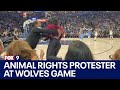 Video of animal rights protester entering Timberwolves court, getting tackled by security | FOX 9