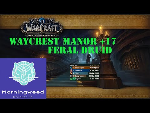 8.3 World of Warcraft Feral M+ Waycrest Manor +17 102K overall dps