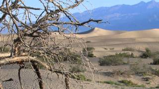 Shifting Whispering Sands by Kirk