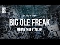 Megan Thee Stallion Big Ole Freak Lyrics