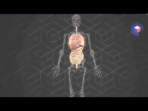 Choque Elétrico o que Acontece no seu CORPO