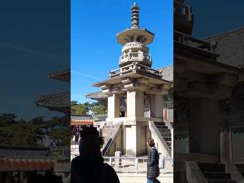 Dabotap and Seokgatap pagodas were bigger than expected | Bulguksa Temple