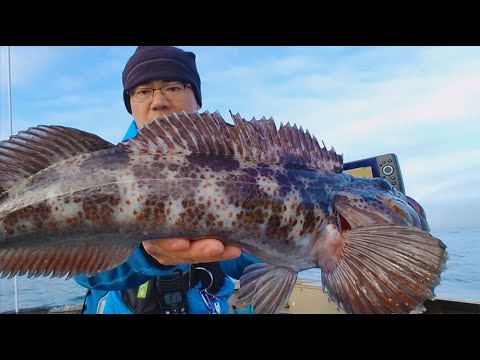 download lagu mp3 mp4 Fish Similar To Ling, download lagu Fish Similar To Ling gratis, unduh video klip Fish Similar To Ling