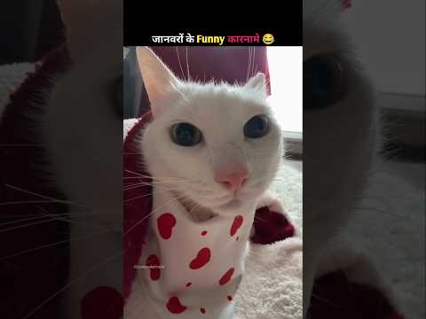 Animals ke gajab Karname part-4 😂🤣 #funny #shorts