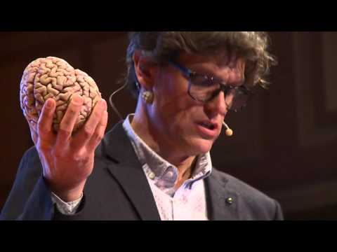 Brain concussion - Shake it and you break it | Steven Laureys | TEDxLiège
