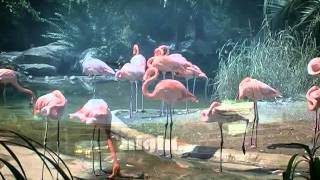 The War on Drugs (US) &#39;Best Night&#39; (2011) w/lyrics