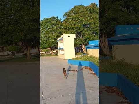 Bordeando la Plaza de la Patria. Bayamo