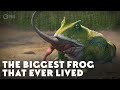 The Biggest Frog that Ever Lived