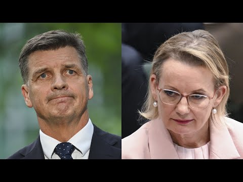 ‘Chaos’: Liberal leadership is in ‘absolute shambles’