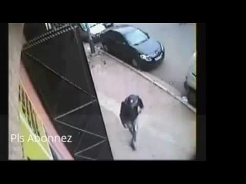 Organized gang steal electrical  shop