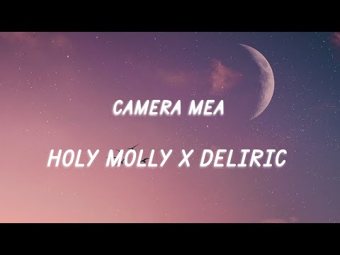 HOLY MOLLY x DELIRIC - Camera Mea (Versuri / Lyrics)
