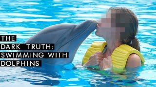 Should You Go Swimming With Dolphins? | The Dark Truth | UNILAD Adventure