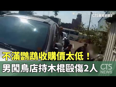 不滿鸚鵡收購價太低！　男闖鳥店持木棍毆傷2人