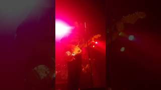 Drive by truckers Two Daughters and a Beautiful Wife