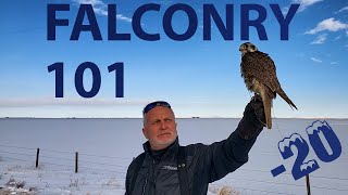 Falconry 101 in the Prairies - Canadian Winter Partridge Hunting in -20 With Falconer Mark Williams