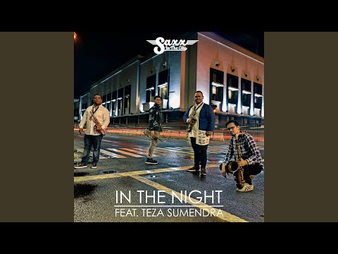 In the Night (feat. Teza Sumendra)
