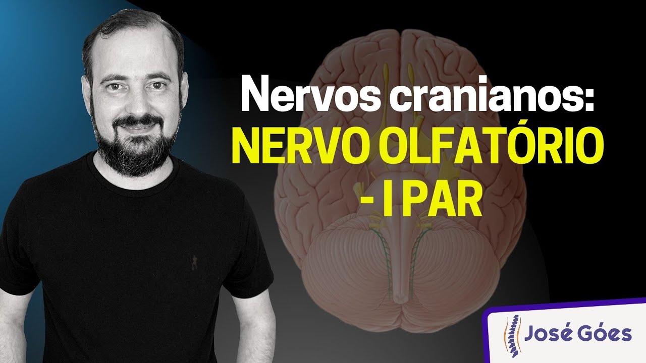 Nervos cranianos: NERVO OLFATÓRIO - I PAR | José Góes