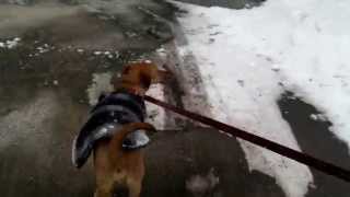 Sometimes you just have to jump in