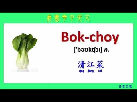 看圖學中英文 55 蔬菜 (Learning Chinese and English Vocabularies about Vegetables)