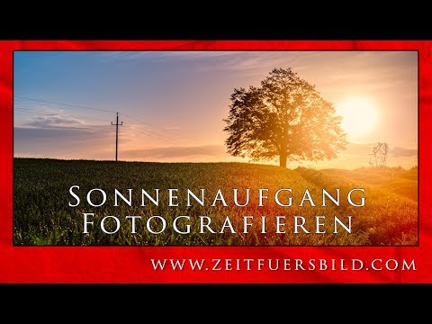 Arbeiten mit Gegenlicht | Sonnenaufgang fotografieren