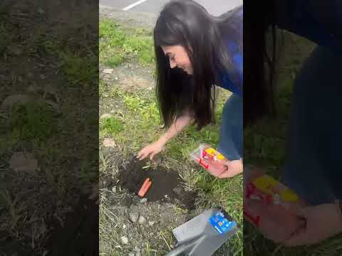 Burying Hot Dogs!