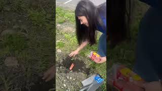 Burying Hot Dogs!