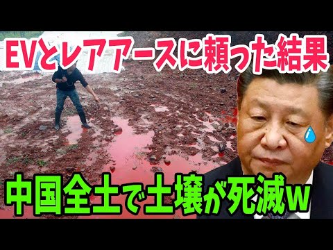 【海外の反応】日本にマウントをとるためにEV化とレアアース採掘を進めすぎた中国の末路が…【アメージングJAPANまとめ】
