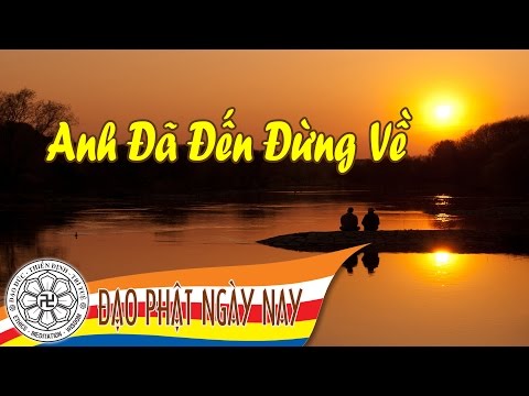 Anh đã đến đừng về