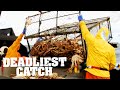Wrapping Up King Crab Season Deadliest Catch Discovery