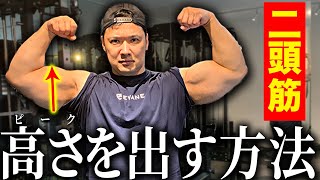 【ピーク】を出す二頭トレーニングを解説します。