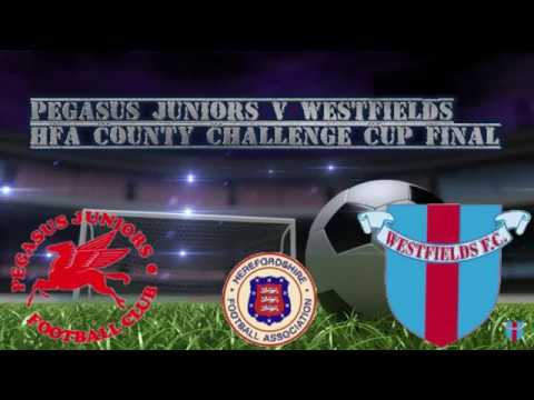 Pegasus Juniors v Westfields