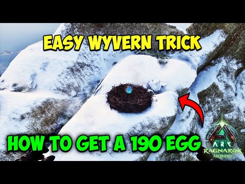 Ragnarok: How To get a High-level Ice Wyvern Egg FAST in ARK Survival Ascended